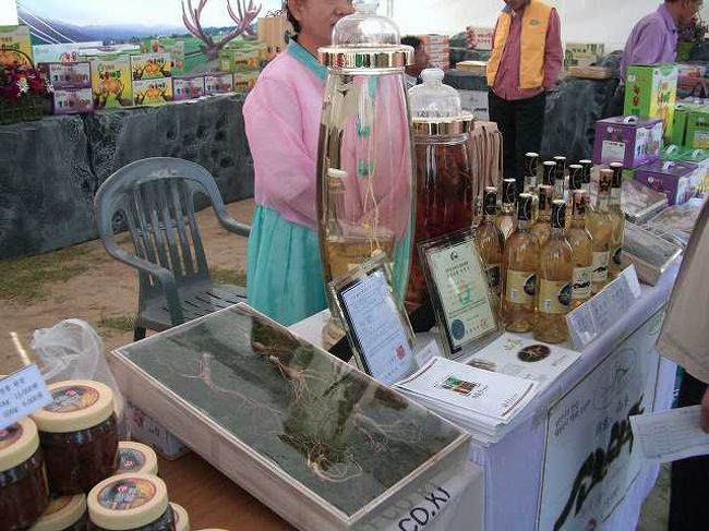 高麗人参の店<br /><br /><br />高麗人参の店ですね。<br />日本ほどではありませんが、韓国でも高麗人参は高価です。<br />ボトルに詰められた高麗人参も売られていました。