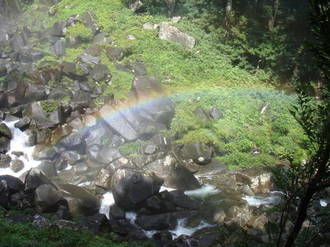 雨上がりということで虹が架かってきました☆