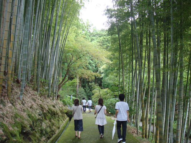 京都を想像させる景色です！！