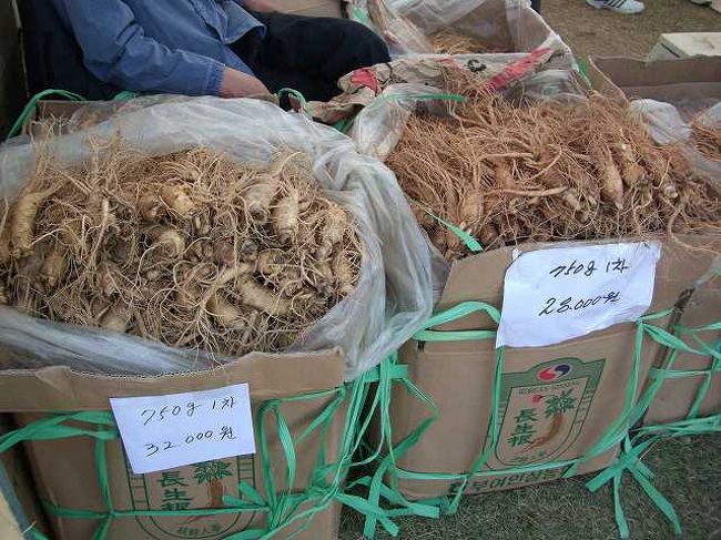 山積みの高麗人参<br /><br /><br />山積みの高麗人参です。<br />これはまだ何も加工されていない物ですね。<br /><br /><br />■Photolibrary<br />http://www.photolibrary.jp/img66/69_195569.html