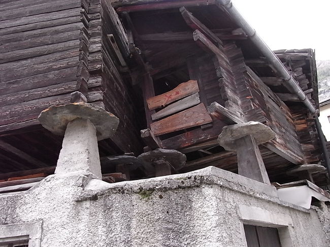 ネズミ返しのついた高床式の穀物倉庫。