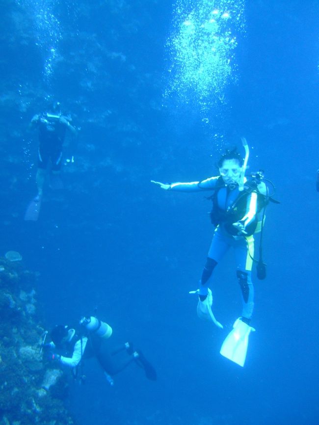 シチューガマ<br />ドロップオフの下へ潜降