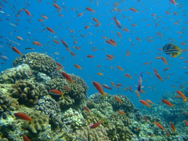 イマズニ<br />龍宮城のような光景でした