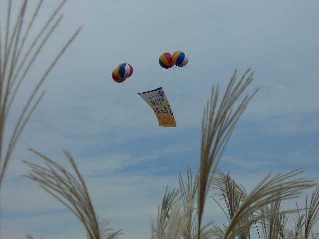 アドバルーンと秋の空<br /><br /><br />元の河原に帰ってきました。<br />百済文化祭のアドバルーンと秋の空にススキがよく似合います。