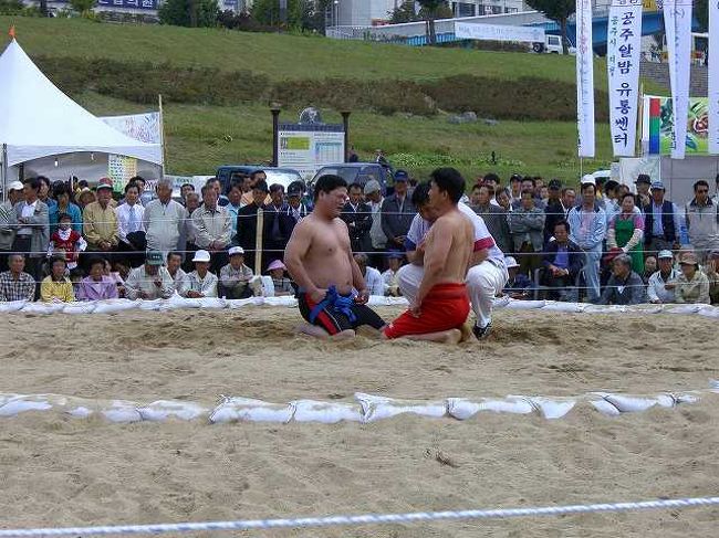 韓国相撲<br /><br /><br />こちら側の会場でも百済文化祭のイベントとして韓国式相撲をやっていました。<br />しばらく見入っていましたが、なかなか決着が付かないいい勝負？だったようです。