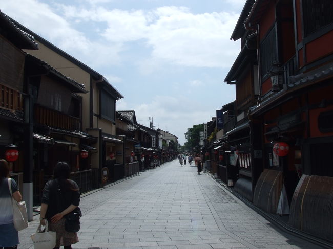 なんだか整然としててキレイです。