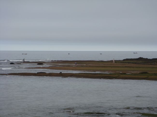 ホテルから１分歩いてビーチに出られます。<br /><br />１日目　夕方<br />２日目　朝・夕<br />３日目　朝<br />ビーチを散歩しました。<br /><br />