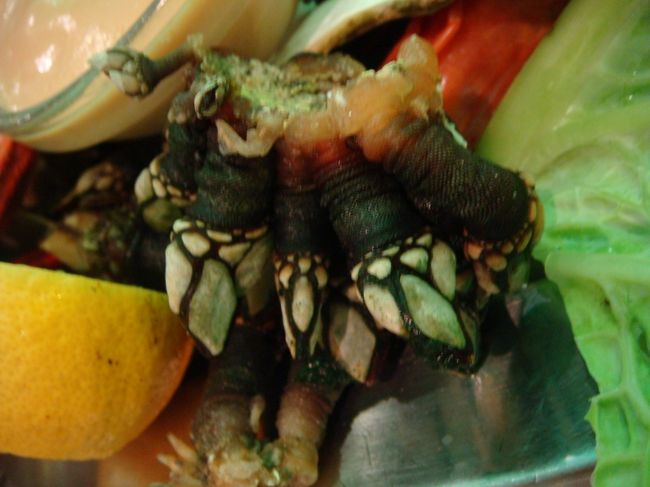 カメノテ（フジツボの一種）<br /><br />スペイン語ではペルセベスと言います。<br />結構いい値がするもの。<br />ポルトガルでも食べるんだー<br /><br />塩茹でしてあるだけ。<br />爪みたいに見える部分と皮との境目に親指の爪を立てて皮を破り、中身をツルンと出して食べます。