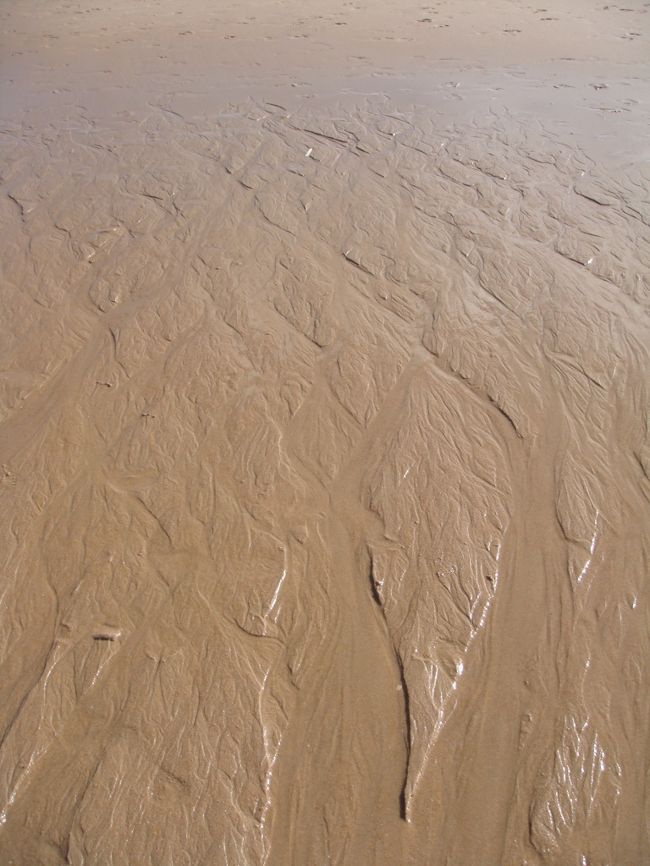 波が砂に描く模様も見ていて飽きない。