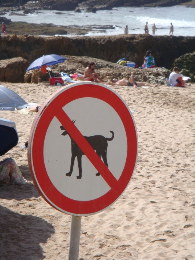 ビーチは犬の立ち入り禁止。