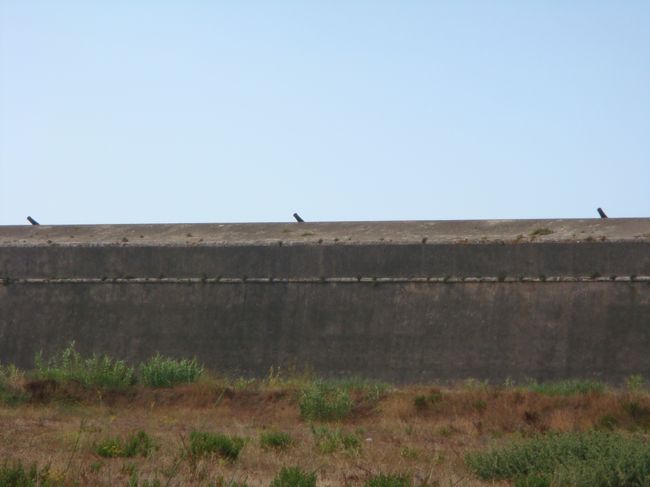 近くなって、城砦から大砲が四方から覗いているのが見える。