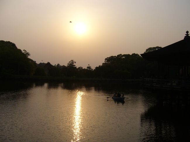 鷺池に映る、沈んでいく夕陽がとても綺麗です。