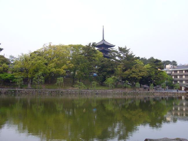 浮見堂から近鉄奈良駅へ向かう途中で通った<br />猿沢池から見た興福寺の五重塔。