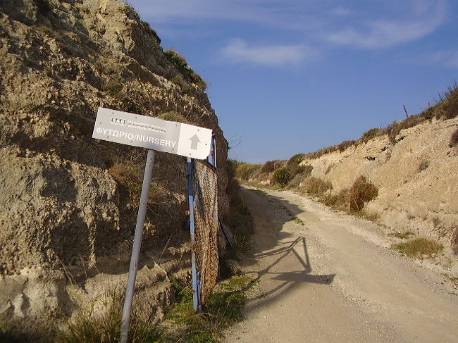 フィト・・・リ・・・・・・オ・・・？<br />植物・・・え・・・・・・ん・・・？<br /><br />少し中に入ってみたけど、人ん家みたいだからやめた。