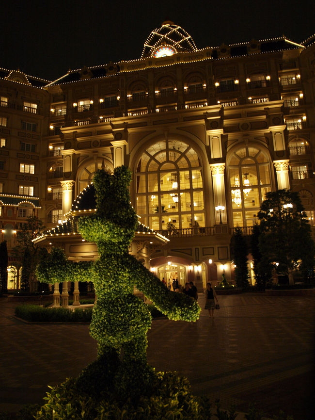 デイジー？の植木に迎えられました。