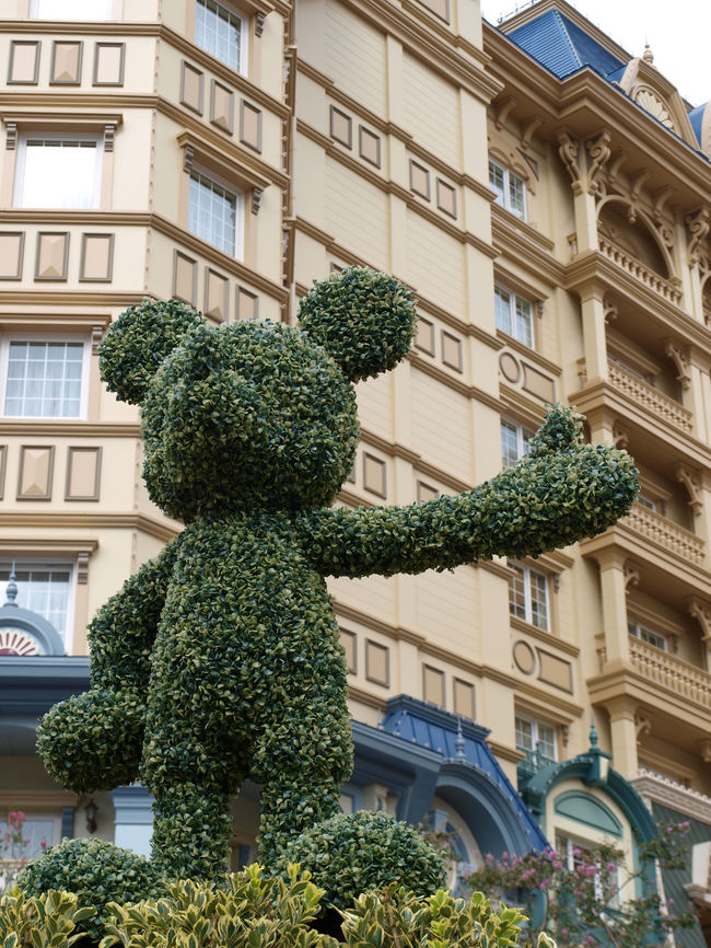 今度はミッキーマウスの植木に見送られてディズニーランドへ。