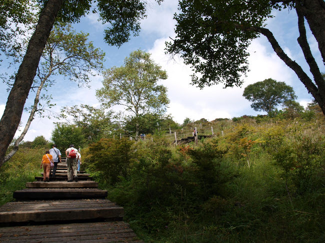 階段を上って展望台へ向かいます。