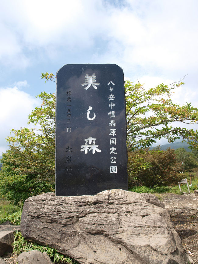 美し森展望台到着。<br />ソフトクリームがおいしいそうです。