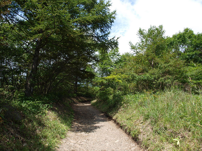 せっかくなのでもう少し先へ進んでみることにしました