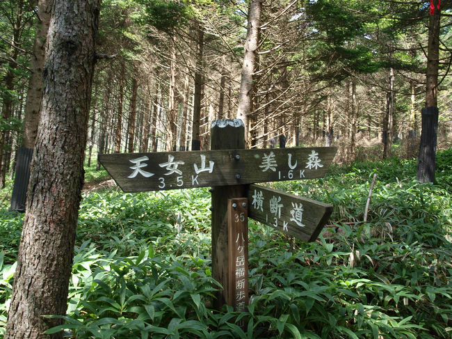 思っていた景色ではなかったのでさらに山を進みます。天女山へ。