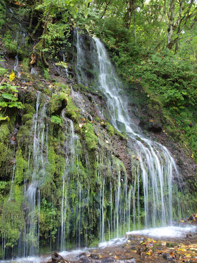 途中川俣川にきれいな滝がありました。<br />小滝というそうです。