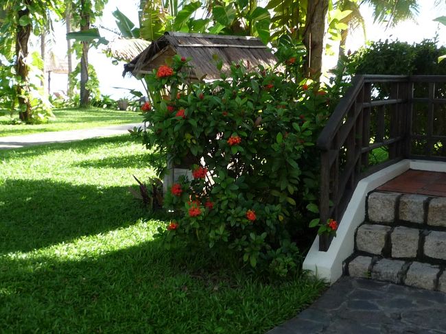 総括。<br /><br />今回のベトナム旅行は、全体的にはゆっくりできて満足！<br />ホテルは、町とは別の空間を作り出していて、多くの緑で迎えてくれ、ビーチもきれいにされていて。。。<br />ゆっくり過ごしたい人には、アナマンダラはお勧めできると思いますよ。<br /><br />反省点としては、最終日のホーチミン空港での過ごし方。。帰国日にホーチミン出発が深夜の人は、ホーチミン空港には何も望めないと思ったほうがいいですよ。