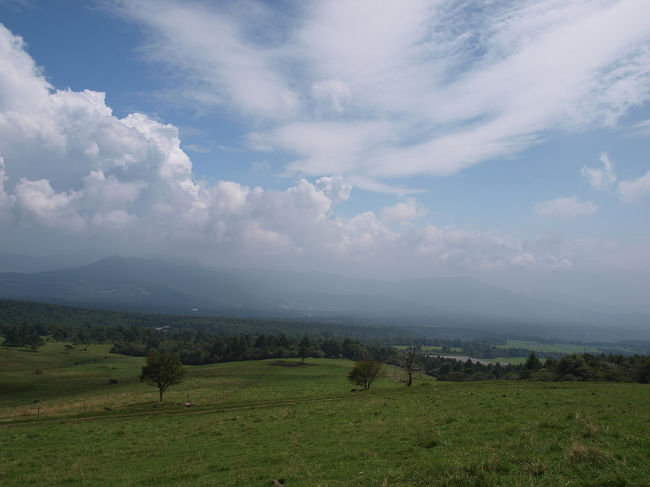 のんびりしたいのですが思っていたより距離もあり、ペットボトルの水も少なくなりちょっとピンチ。