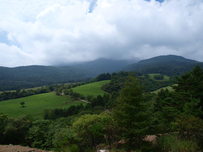 やっと道路らしいものが見えてきました