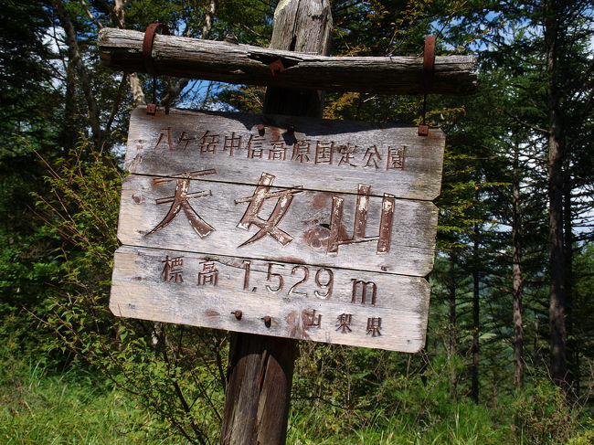 天女山に到着しましたが開けた景色はありませんでした。