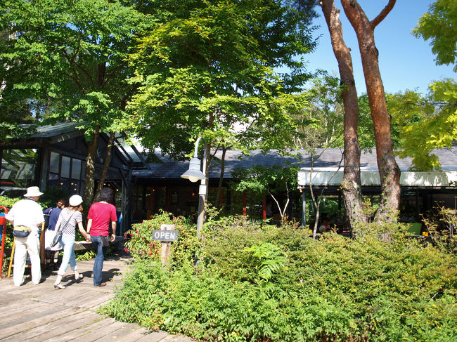 雰囲気も良かったし疲れていたので少しゆっくりしたかったのですが、店の前のバス停に次のバスが来る時間が迫っていたので急いで食べてお会計。