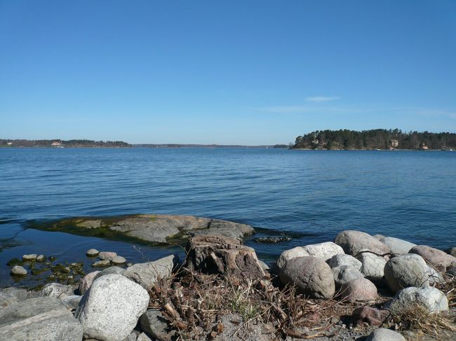 施設の外の湖には・・・・。