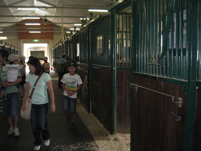 厩舎の中です。お馬さんがいたのですが<br /><br />柵があり写真がうまく取れそうにないので<br /><br />断念しました。残念です・・・。