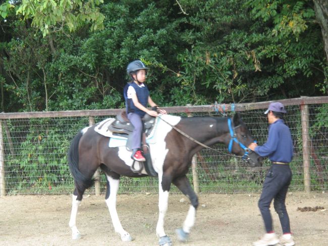 乗馬教室をしていました。<br /><br />５歳ぐらいの生徒さんかな？<br /><br />怖いのかとても緊張していましたよ！