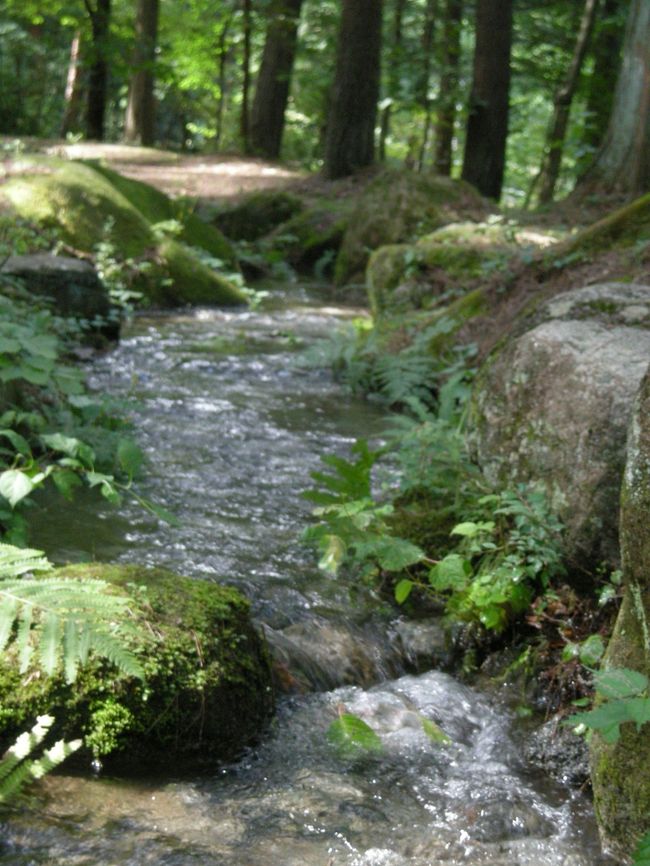 こんな川もあります。