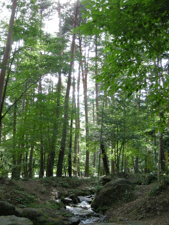 もう本当に癒されます。。。<br />