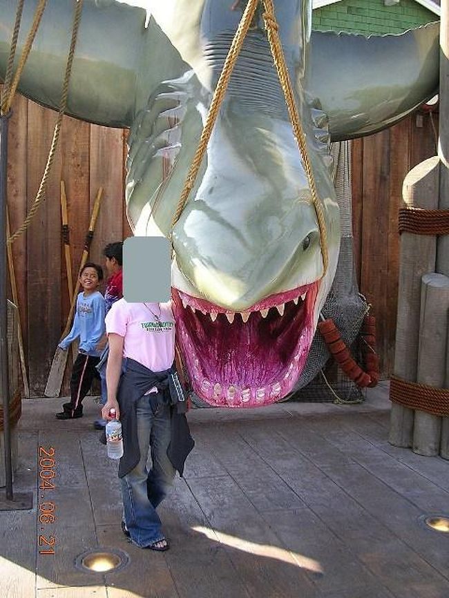 <br />ジョーズ！おぉ〜怖い！