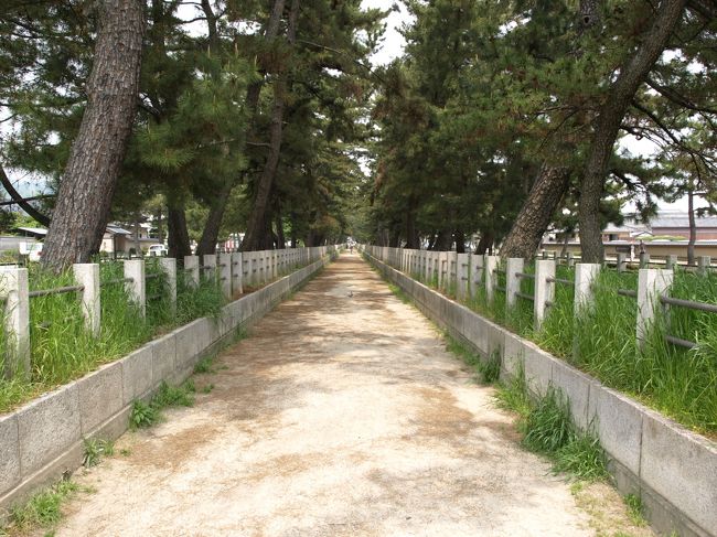 松並木が続く参道。自転車で通っていいものか<br />わからなかったので見るだけにしておきました。<br /><br />両側の一般道路を通って法隆寺正門へ向かいました。