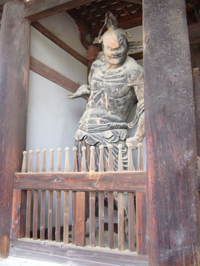 反対側に立つのが、吽型。<br /><br />これらの像は現存最古の仁王像だそうです。<br />