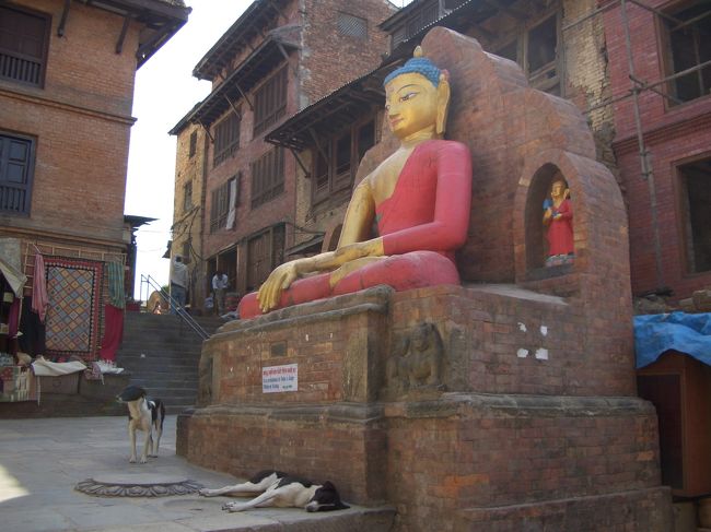 中央部下に注目。<br /><br />あっちこっちで、わんﾁｬﾝも寝てます。<br /><br />暑い地域の犬はどこも同じですね〜〜。