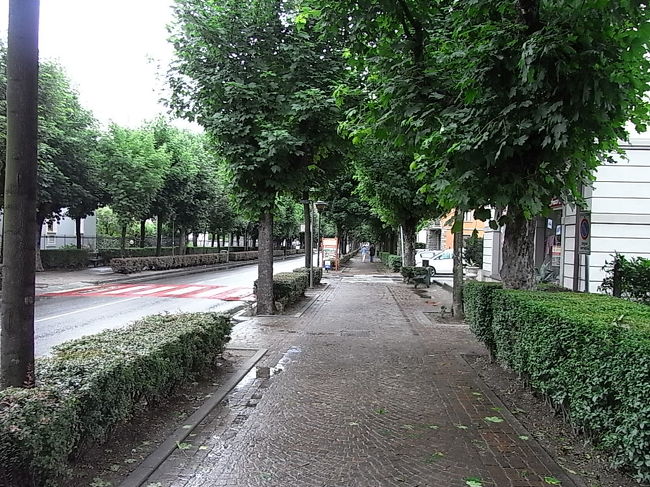 食事が終ったら、街を散歩。<br />石畳の道。大きな街路樹。<br />TiranoのメインストリートViale Italia