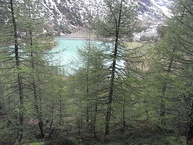 湖が見えてきた。