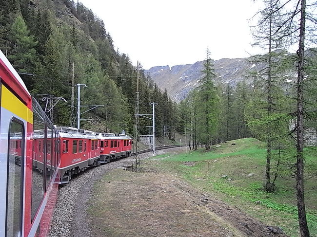 窓の外の風景は<br />針葉樹林の美しい高原になってきた。