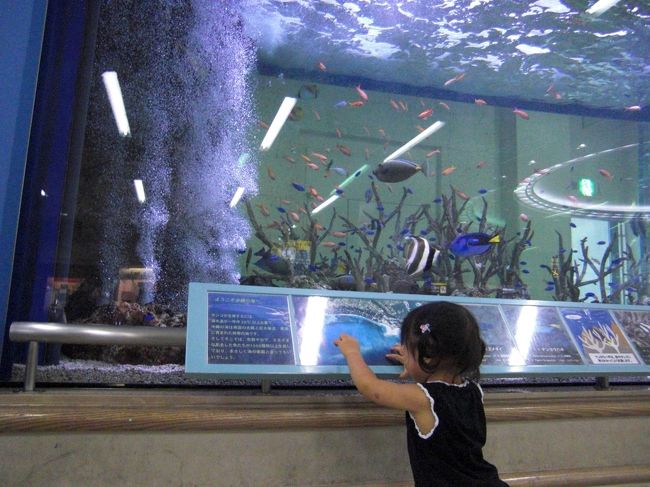 到着口を出た所にある大きな水槽へ猛ダッシュ！<br /><br /><br /><br />