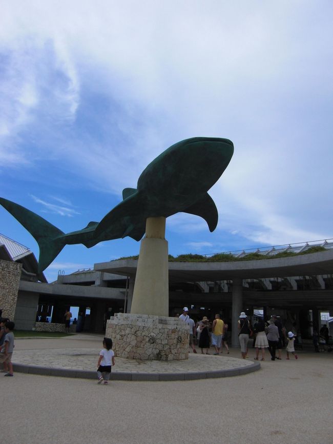 美ら海水族館到着！<br />11:00すぎに到着予定だったので駐車場が遠いかも･･･。と心配しましたが近くに停められました。<br />降っていた雨もやんでいい感じに。