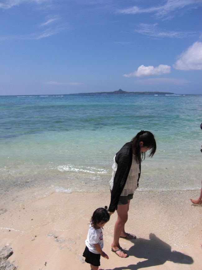 外に出るとすっかり晴れていました。