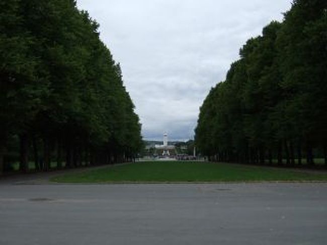 肝心の塔は洗浄作業中で全く見えず・・・。<br />残念(T_T)