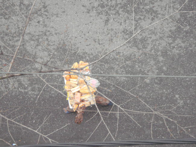 真下を、パン山積の婦人が通りました。