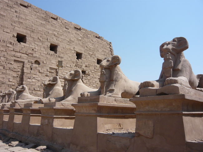 スフィンクスがずらりと並ぶ参道。