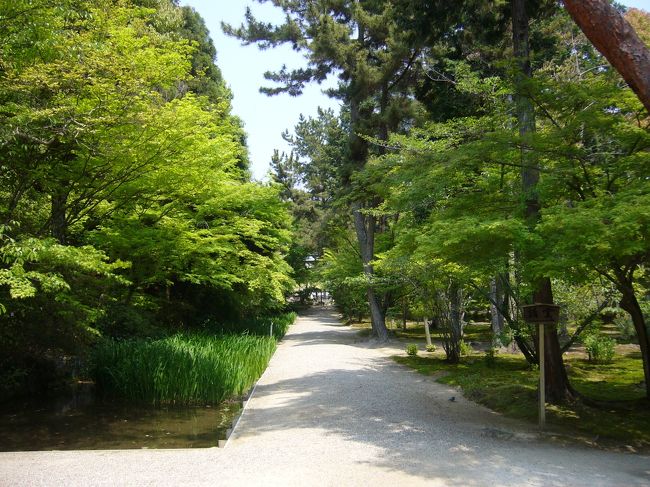 境内は自然がいっぱいです。