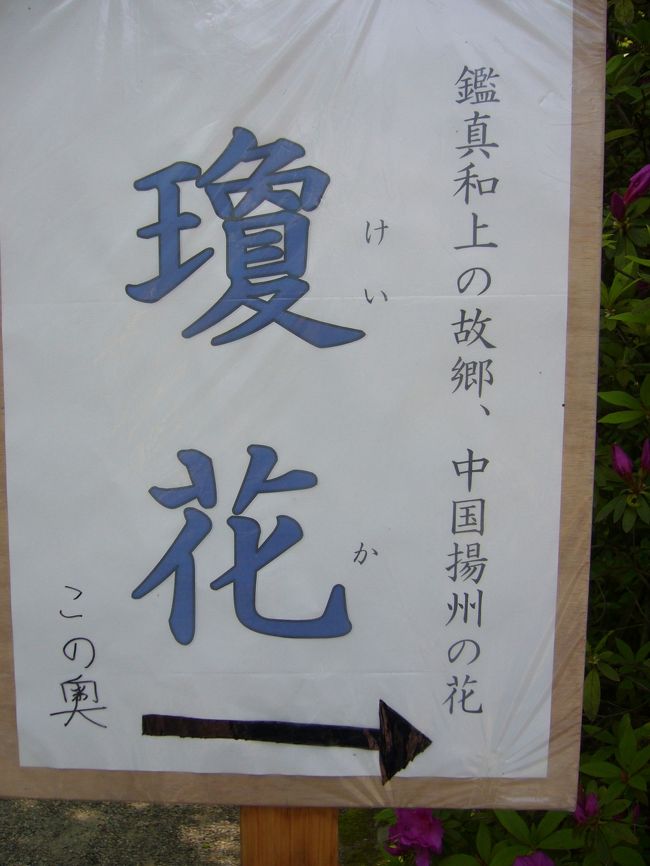 ちょうど珍しい花を公開していたので<br />見てみました。